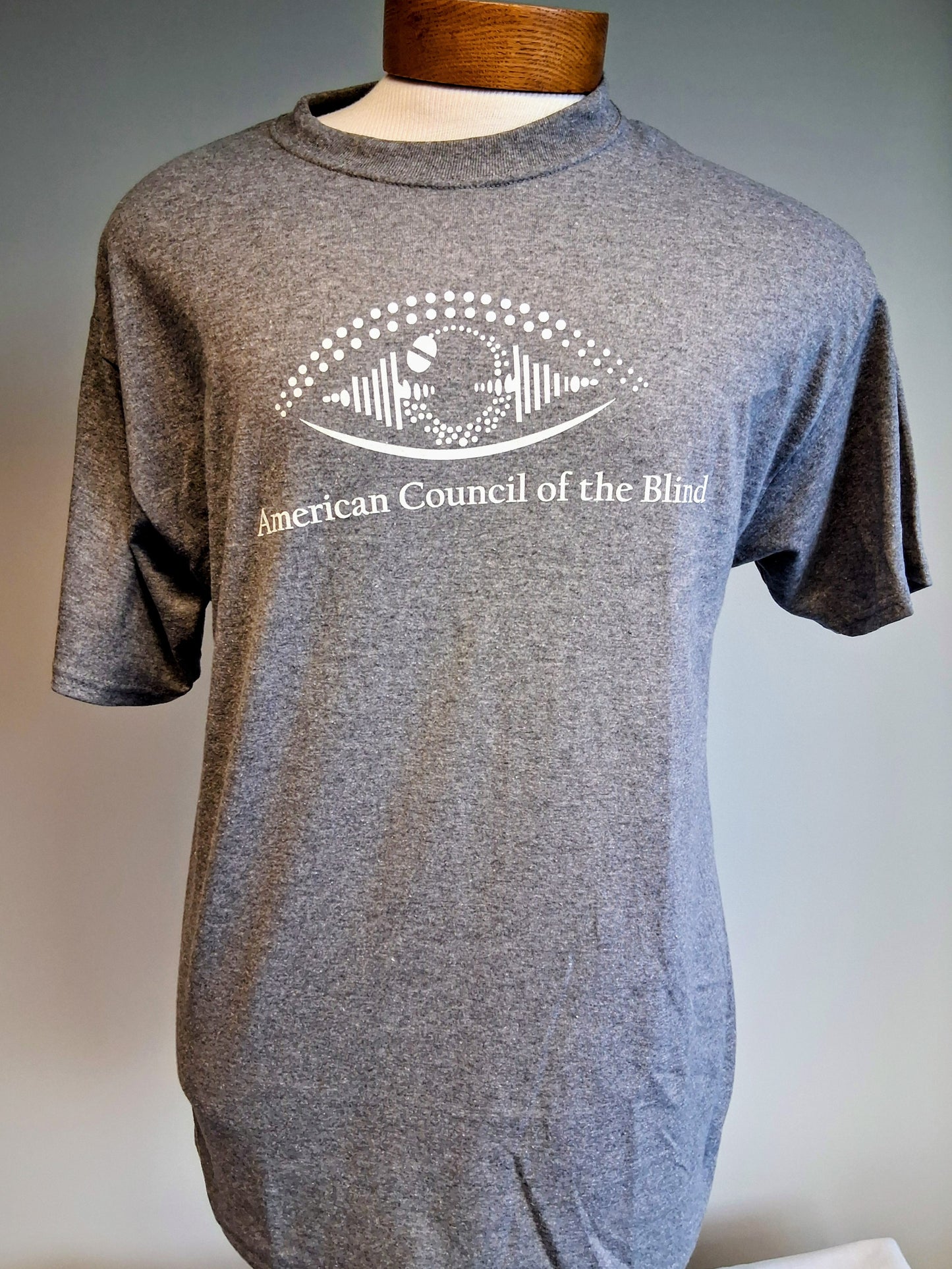 Vision Beyond Sight T-shirt