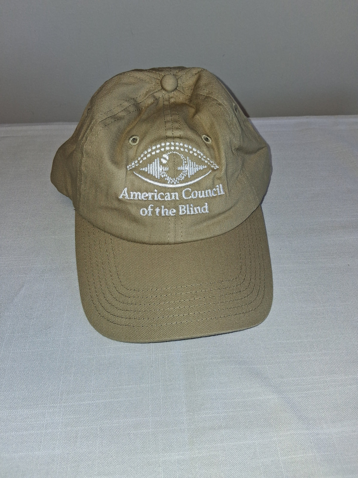 Vision Beyond Sight Ball Cap